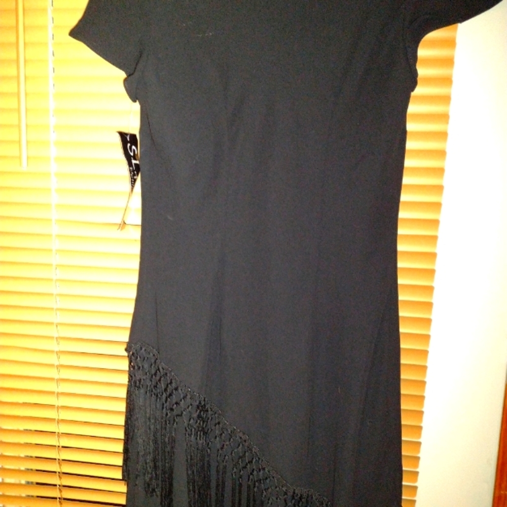 Ladies nwt really nice black dress with fringe size 8 p